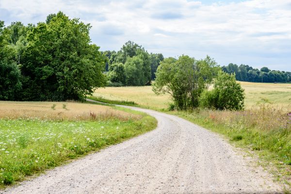 Cost of Stone Driveway Repair in Portland