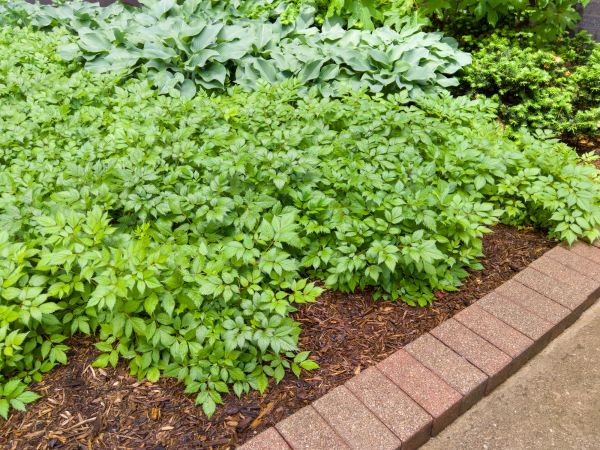 Cost of Brick Hardscaping in Portland