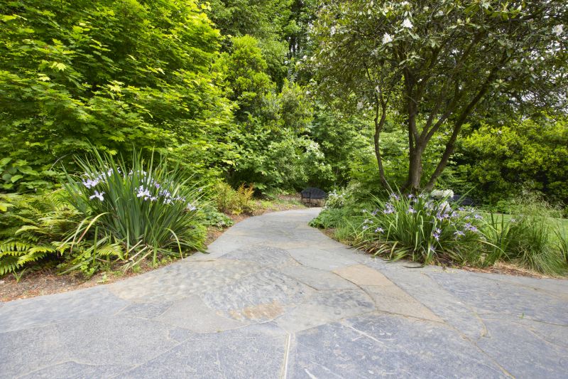 Paver Walkway with Landscaping